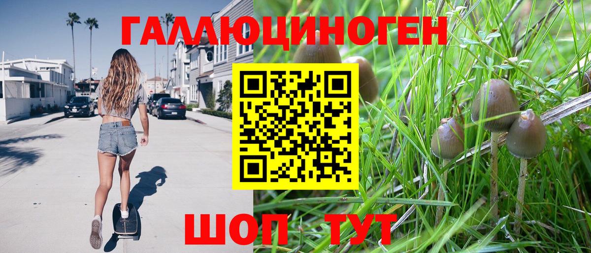 Галлюциногенные грибы прущие грибы Пенза